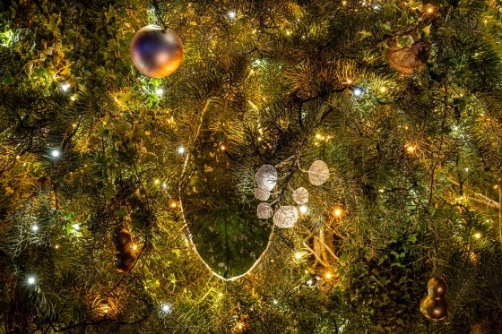 a white lit christmas tree with floral ornaments
